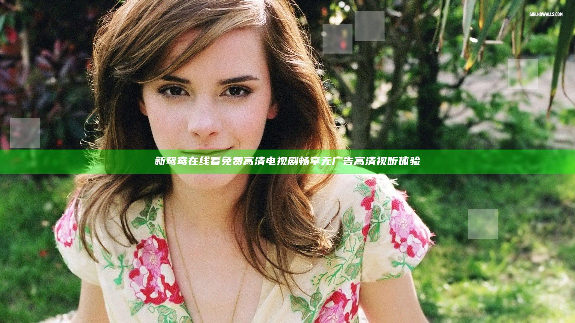 新鸳鸯在线看免费高清电视剧畅享无广告高清视听体验
