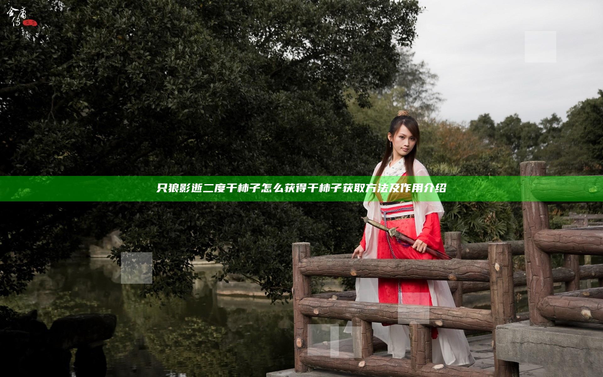 只狼影逝二度干柿子怎么获得 干柿子获取方法及作用介绍