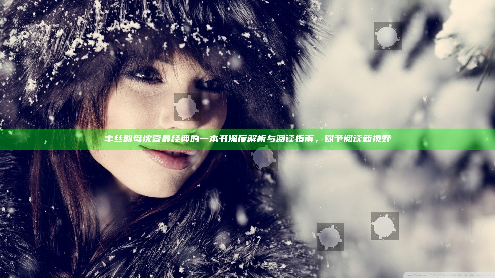 丰丝韵母沈蓉最经典的一本书深度解析与阅读指南，赋予阅读新视野