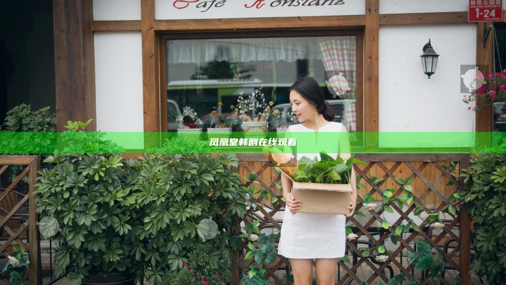 凤凰堂韩剧在线观看